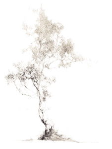 Ethereal Tree Sketch Vinyl Car Decal Sticker – Waterproof & UV-Resistant 4.1066666666666665" Ethereal Tree Sketch Vinyl Car Decal Sticker – Waterproof & UV-Resistant 4.1066666666666665"