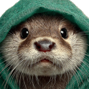 Otter In Bag Vinyl Car Decal Sticker – Waterproof & UV-Resistant 3.4133333333333336" Otter In Bag Vinyl Car Decal Sticker – Waterproof & UV-Resistant 3.4133333333333336"
