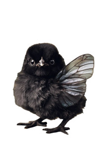 Whimsical Winged Chick Vinyl Car Decal Sticker – Waterproof & UV-Resistant 8.96"