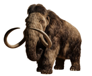 Woolly Mammoth Snout Vinyl Car Decal Sticker – Waterproof & UV-Resistant 6.613333333333333"