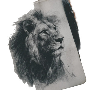 Charcoal Lion Sketch Vinyl Car Decal Sticker – Waterproof & UV-Resistant 3.4133333333333336"