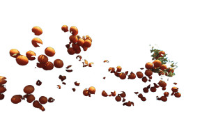 Orange Tree Canopy Vinyl Car Decal Sticker – Waterproof & UV-Resistant 5.4