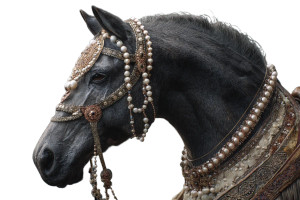 Black Horse Decorated V2 Vinyl Car Decal Sticker – Waterproof & UV-Resistant 5.97333333333333