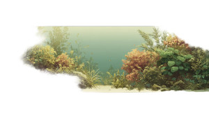 Aquarium View Vinyl Car Decal Sticker – Waterproof & UV-Resistant 2.72"