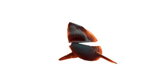 Shark In Spacestation Vinyl Car Decal Sticker – Waterproof & UV-Resistant 5.4