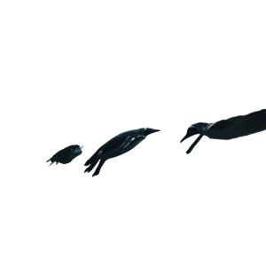 Hunting Penguins Vinyl Car Decal Sticker – Waterproof & UV-Resistant 3.4133333333333336" Hunting Penguins Vinyl Car Decal Sticker – Waterproof & UV-Resistant 3.4133333333333336"