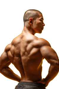 Japanese Bodybuilder Back Vinyl Car Decal Sticker – Waterproof & UV-Resistant 4.4 Japanese Bodybuilder Back Vinyl Car Decal Sticker – Waterproof & UV-Resistant 4.4