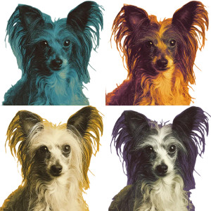 Warhol Dog Portraits Vinyl Car Decal Sticker – Waterproof & UV-Resistant 6.826666666666667"