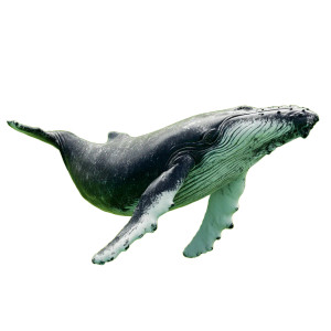 Green Humpback Whale Vinyl Car Decal Sticker – Waterproof & UV-Resistant 3.4133333333333336"