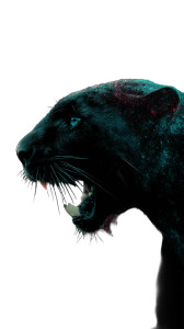 Black Panther V9 Vinyl Car Decal Sticker – Waterproof & UV-Resistant 9.706666666666667" Black Panther V9 Vinyl Car Decal Sticker – Waterproof & UV-Resistant 9.706666666666667"