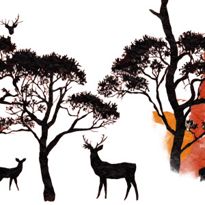 Silhouette Deer Sunset Vinyl Car Decal Sticker – Waterproof & UV-Resistant 3.4133333333333336" Silhouette Deer Sunset Vinyl Car Decal Sticker – Waterproof & UV-Resistant 3.4133333333333336"
