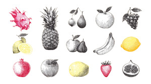 Tropical Fruits Sketch Vinyl Car Decal Sticker – Waterproof & UV-Resistant 2.72"