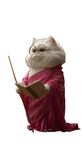 Teacher Cat V8 Vinyl Car Decal Sticker – Waterproof & UV-Resistant 4.8533333333333335"