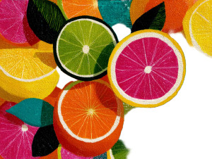Whimsical Tangerine Vinyl Car Decal Sticker – Waterproof & UV-Resistant 6.1866666666666665" Whimsical Tangerine Vinyl Car Decal Sticker – Waterproof & UV-Resistant 6.1866666666666665"