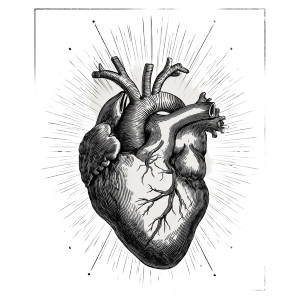 Vintage Anatomical Heart Vinyl Car Decal Sticker – Waterproof & UV-Resistant 6.826666666666667" Vintage Anatomical Heart Vinyl Car Decal Sticker – Waterproof & UV-Resistant 6.826666666666667"