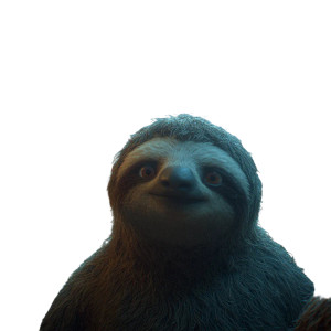 Protesting Sloths Vinyl Car Decal Sticker – Waterproof & UV-Resistant 6.826666666666667"