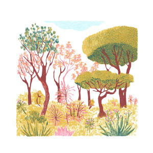 Cerrado Flora Vinyl Car Decal Sticker – Waterproof & UV-Resistant 6.826666666666667"