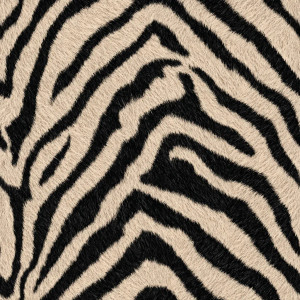Zebra Pattern Vinyl Car Decal Sticker – Waterproof & UV-Resistant 3.4133333333333336"