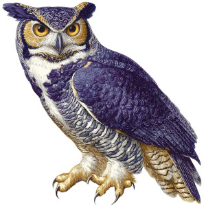 Purple Gold Owl Vinyl Car Decal Sticker – Waterproof & UV-Resistant 3.4133333333333336"