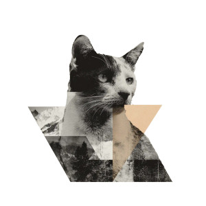 Collage Cat Vinyl Car Decal Sticker – Waterproof & UV-Resistant 3.4133333333333336"