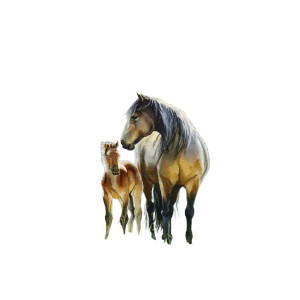 Mother And Foal Vinyl Car Decal Sticker – Waterproof & UV-Resistant 6.826666666666667"