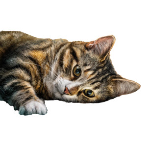 Cat With Tablet Vinyl Car Decal Sticker – Waterproof & UV-Resistant 3.4133333333333336"