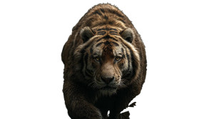 Tiger-Bear Hybrid V3 Vinyl Car Decal Sticker – Waterproof & UV-Resistant 2.72"