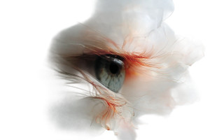 Macro Eye Roots Vinyl Car Decal Sticker – Waterproof & UV-Resistant 5.97333333333333