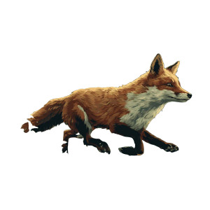 Fox In Forest V6 Vinyl Car Decal Sticker – Waterproof & UV-Resistant 3.4133333333333336"