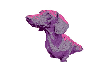 Surreal Liquid Dachshund Vinyl Car Decal Sticker – Waterproof & UV-Resistant 2.986666666666667"