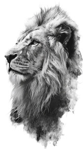 Lion Tattoo Design Vinyl Car Decal Sticker – Waterproof & UV-Resistant 4.8533333333333335"