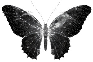 Agony Butterfly Vinyl Car Decal Sticker – Waterproof & UV-Resistant 2.986666666666667"