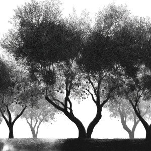 Silhouette Olive Trees Vinyl Car Decal Sticker – Waterproof & UV-Resistant 6.826666666666667"