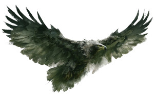 Shadowfell Eagle Vinyl Car Decal Sticker – Waterproof & UV-Resistant 2.986666666666667" Shadowfell Eagle Vinyl Car Decal Sticker – Waterproof & UV-Resistant 2.986666666666667"