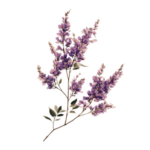 Lavender Bouquet Illustration Vinyl Car Decal Sticker – Waterproof & UV-Resistant 6.826666666666667" Lavender Bouquet Illustration Vinyl Car Decal Sticker – Waterproof & UV-Resistant 6.826666666666667"