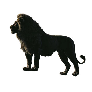 Lion Silhouette Vinyl Car Decal Sticker – Waterproof & UV-Resistant 6.826666666666667" Lion Silhouette Vinyl Car Decal Sticker – Waterproof & UV-Resistant 6.826666666666667"