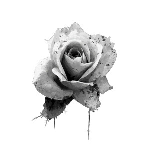 Abstract Rose V2 Vinyl Car Decal Sticker – Waterproof & UV-Resistant 3.4133333333333336" Abstract Rose V2 Vinyl Car Decal Sticker – Waterproof & UV-Resistant 3.4133333333333336"