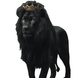 Majestic Crowned Lion V7 Vinyl Car Decal Sticker – Waterproof & UV-Resistant 3.4133333333333336"