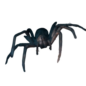 Spider Humanoid Monster Vinyl Car Decal Sticker – Waterproof & UV-Resistant 3.4133333333333336" Spider Humanoid Monster Vinyl Car Decal Sticker – Waterproof & UV-Resistant 3.4133333333333336"
