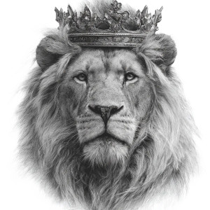 Crowned Lion V2 Vinyl Car Decal Sticker – Waterproof & UV-Resistant 3.4133333333333336" Crowned Lion V2 Vinyl Car Decal Sticker – Waterproof & UV-Resistant 3.4133333333333336"