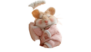 Sleeping Hamster V3 Vinyl Car Decal Sticker – Waterproof & UV-Resistant 2.773333333333333