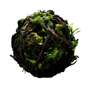 Organic Moss Sphere Vinyl Car Decal Sticker – Waterproof & UV-Resistant 6.826666666666667"