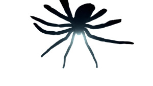 Giant Spider Tunnel Vinyl Car Decal Sticker – Waterproof & UV-Resistant 2.72"
