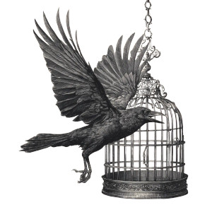 Raven Escapes Cage Vinyl Car Decal Sticker – Waterproof & UV-Resistant 3.4133333333333336"