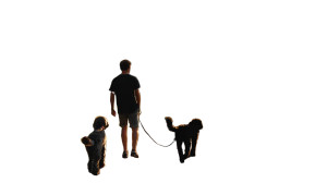 Man Walking Dogs V2 Vinyl Car Decal Sticker – Waterproof & UV-Resistant 5.4 Man Walking Dogs V2 Vinyl Car Decal Sticker – Waterproof & UV-Resistant 5.4