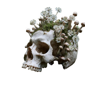 Mushroom Skull Vinyl Car Decal Sticker – Waterproof & UV-Resistant 3.4133333333333336"