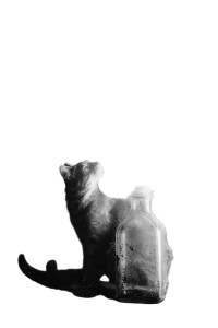 Mystical Tabby Genie Vinyl Car Decal Sticker – Waterproof & UV-Resistant 8.96"