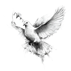 Peace Dove Vinyl Car Decal Sticker – Waterproof & UV-Resistant 3.4133333333333336"