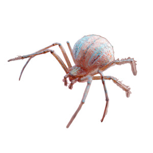 Candy Spider Vinyl Car Decal Sticker – Waterproof & UV-Resistant 3.4133333333333336" Candy Spider Vinyl Car Decal Sticker – Waterproof & UV-Resistant 3.4133333333333336"