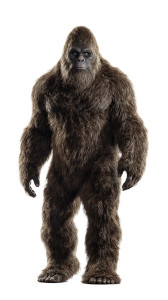 Friendly Bigfoot Portrait Vinyl Car Decal Sticker – Waterproof & UV-Resistant 9.706666666666667" Friendly Bigfoot Portrait Vinyl Car Decal Sticker – Waterproof & UV-Resistant 9.706666666666667"